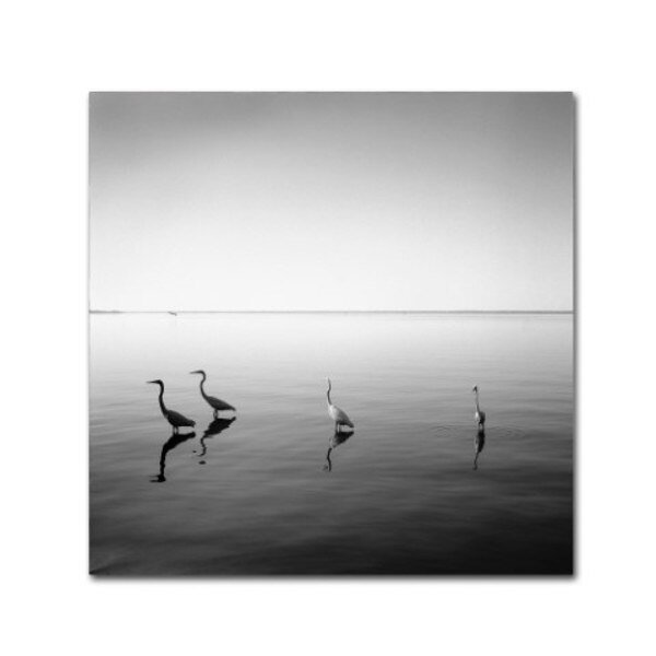 Moises Levy '4 Herons' Canvas Art, 14x14, Trademark Fine Art, Mfr#: ALI1089-C1414GG